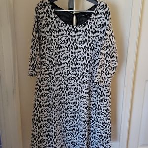 Short Sleeve Black and White Lane Bryant Dress